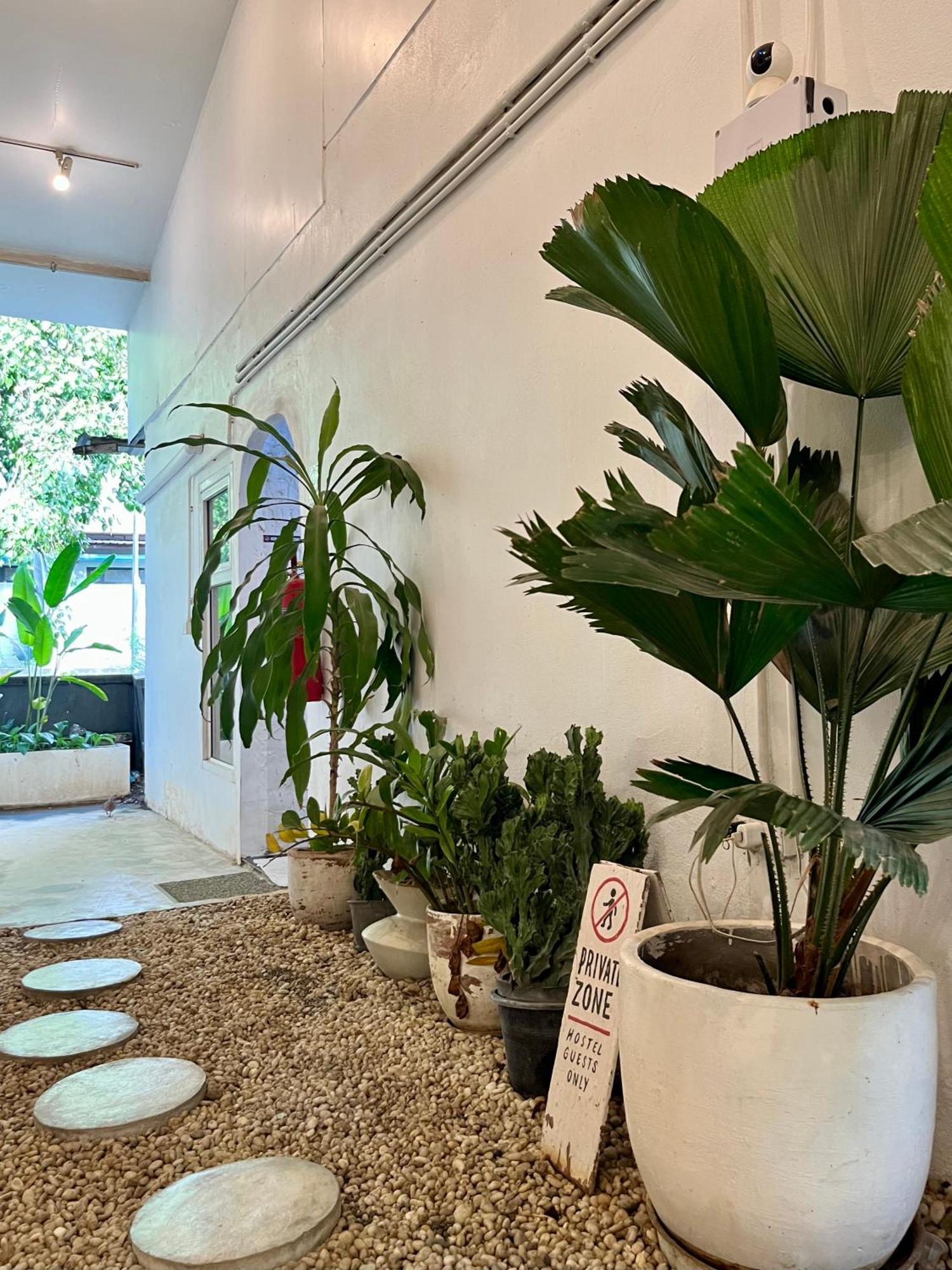 The Park Society Hostel - Chiang Mai, Chiang Mai